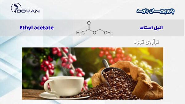 اتیل-استات--در-فرآوری-قهوه