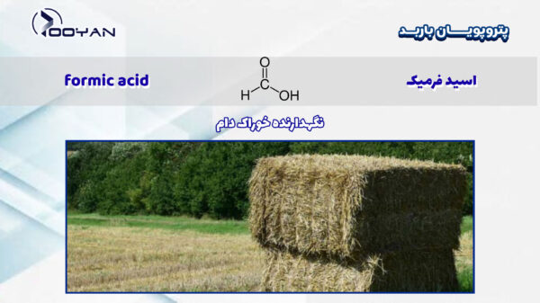اسید-فرمیک-نگهدارنده-خواک-دام